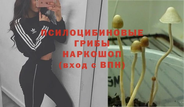 дистиллят марихуана Гусиноозёрск