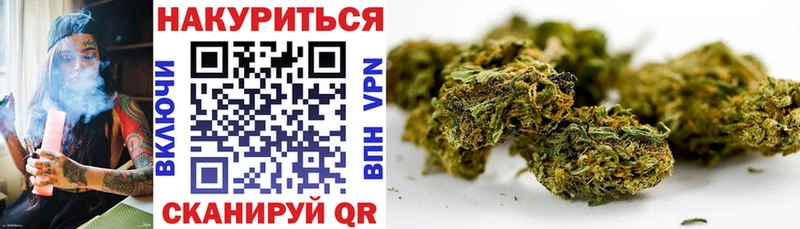 купить   Чернушка  Канабис White Widow 